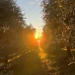Agriboutique L'uliveto Magico Cannara