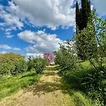 Agriboutique L'uliveto Magico Farma *