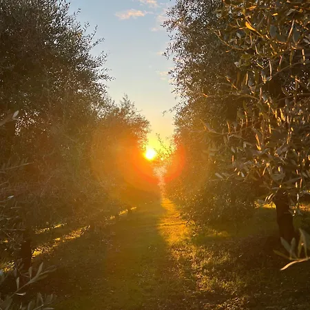 Agriboutique L'uliveto Magico Cannara