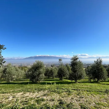 Farmház Agriboutique L'uliveto Magico Cannara
