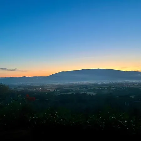 Agriboutique L'uliveto Magico