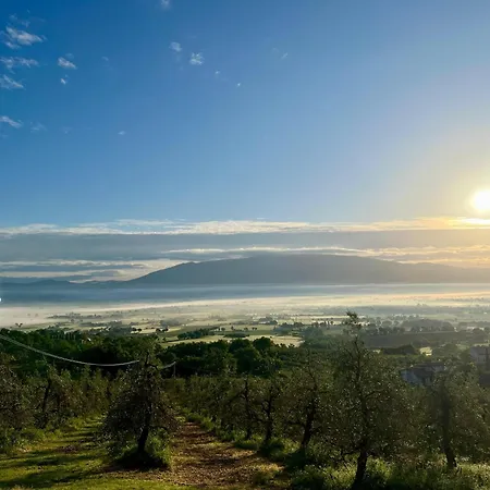 Agriboutique L'uliveto Magico Alojamento de Turismo Rural