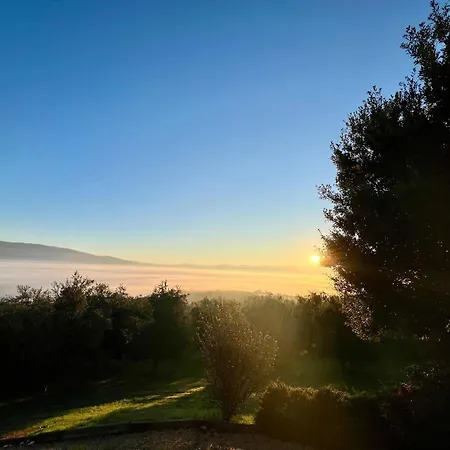 Agriboutique L'uliveto Magico *