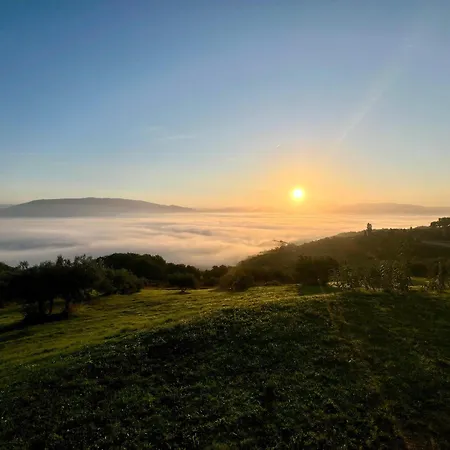 Agriboutique L'uliveto Magico * Cannara