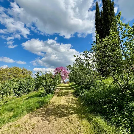 Agriboutique L'uliveto Magico Farm stay *