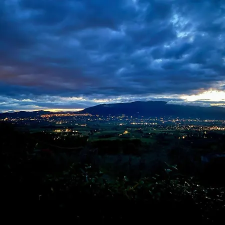 Agriboutique L'uliveto Magico