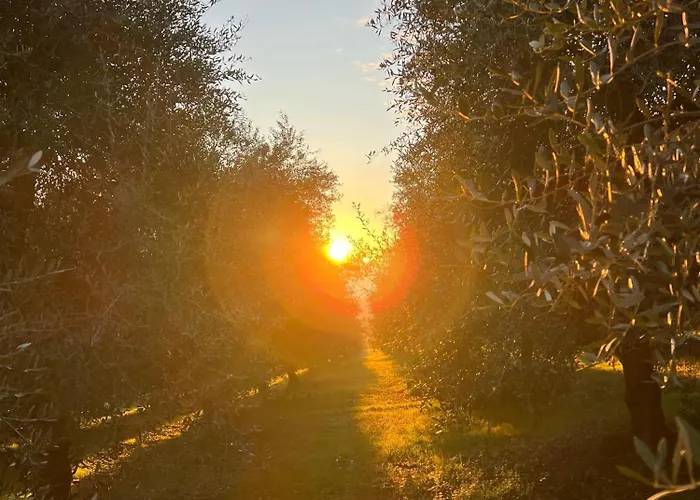Agriboutique L'uliveto Magico Cannara