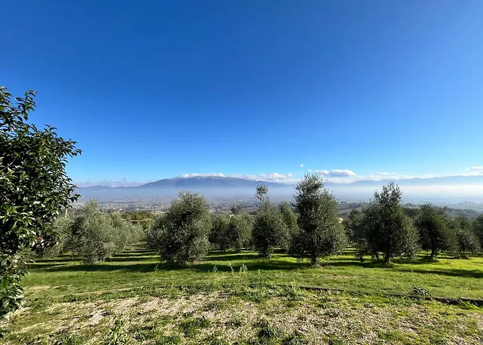 Alojamento de Turismo Rural Agriboutique L'uliveto Magico Cannara