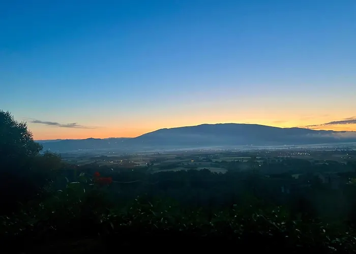 Agriboutique L'uliveto Magico