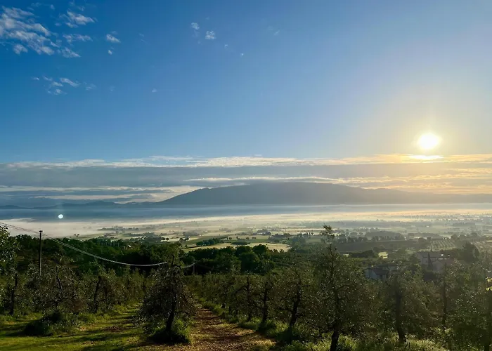 Agriboutique L'uliveto Magico Alojamento de Turismo Rural