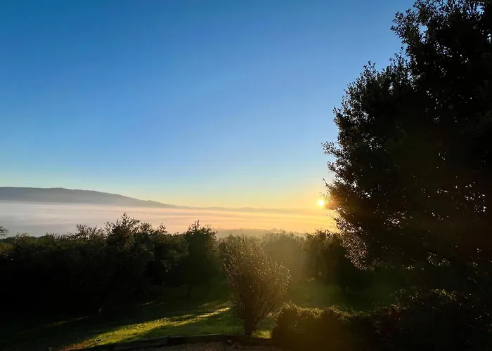 Agriboutique L'uliveto Magico *