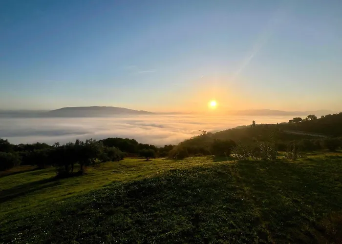 Agriboutique L'uliveto Magico * Cannara