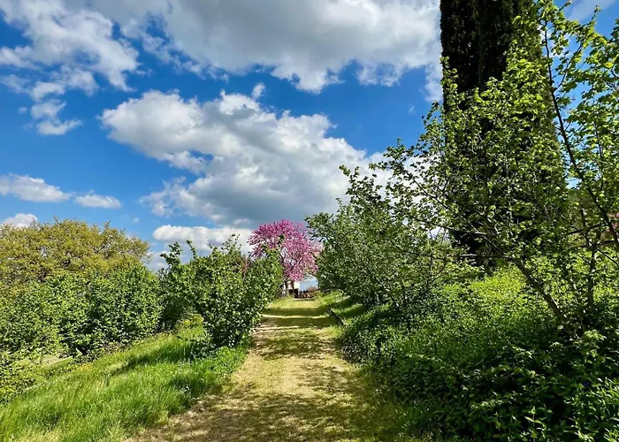 Agriboutique L'uliveto Magico Alojamento de Turismo Rural *