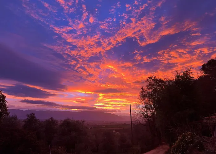 Alojamento de Turismo Rural Agriboutique L'uliveto Magico